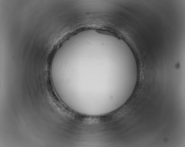 X0000116160354200912141226