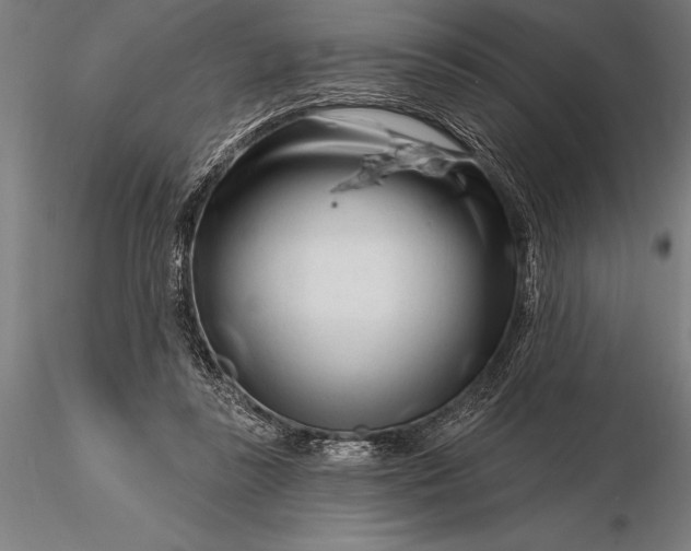 X0000116160355200912141226
