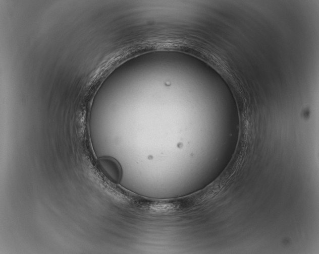 X0000116160357200912141226