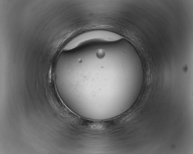 X0000116160358200912141226