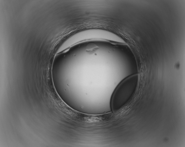 X0000116160359200912141226