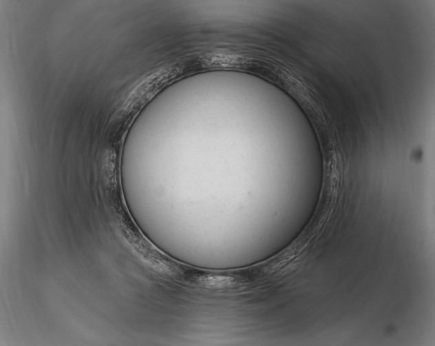 X0000116160361200912141226