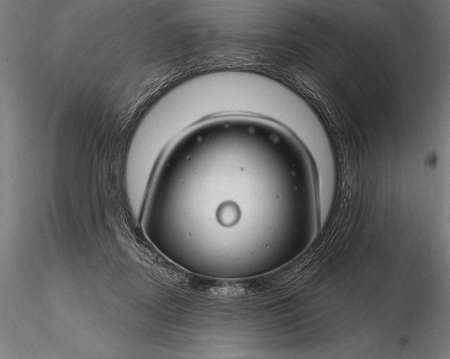 X0000116160362200912141226