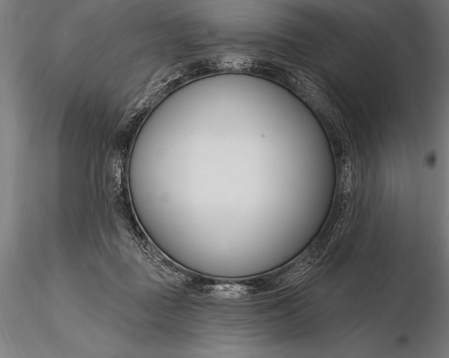 X0000116160363200912141226