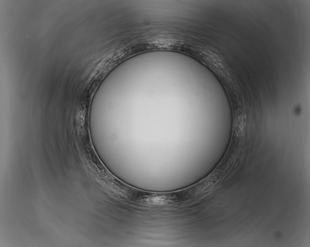 X0000116160365200912141226