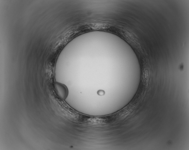 X0000116160367200912141226