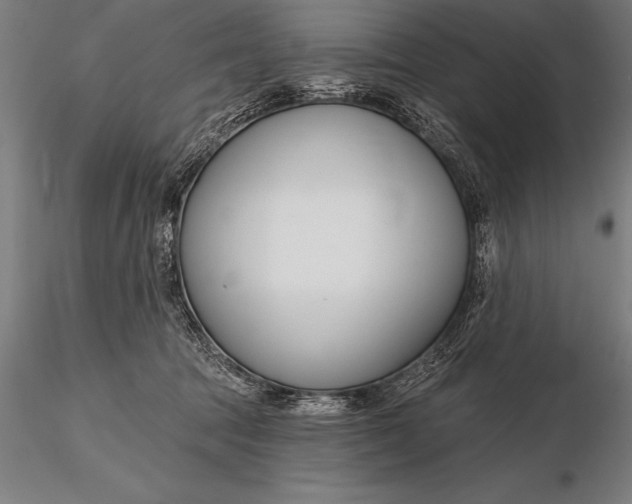 X0000116160369200912141226