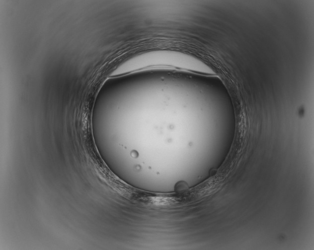 X0000116160371200912141226