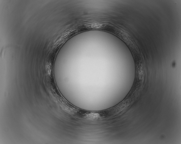 X0000116160374200912141226