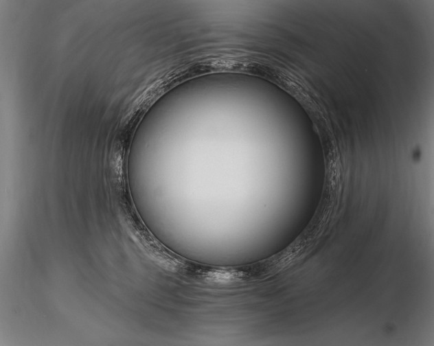X0000116160375200912141226