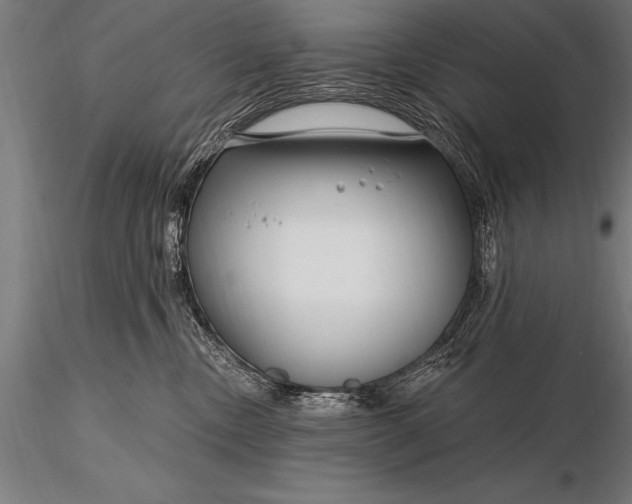 X0000116160378200912141226