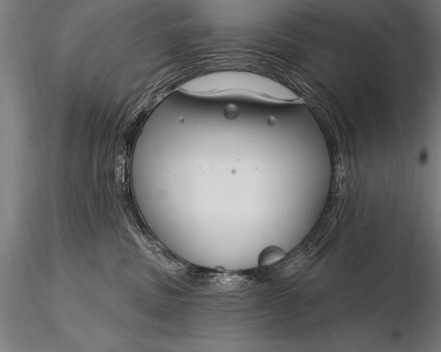 X0000116160379200912141226