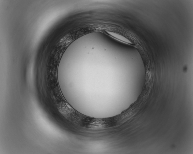 X0000116160381200912141226