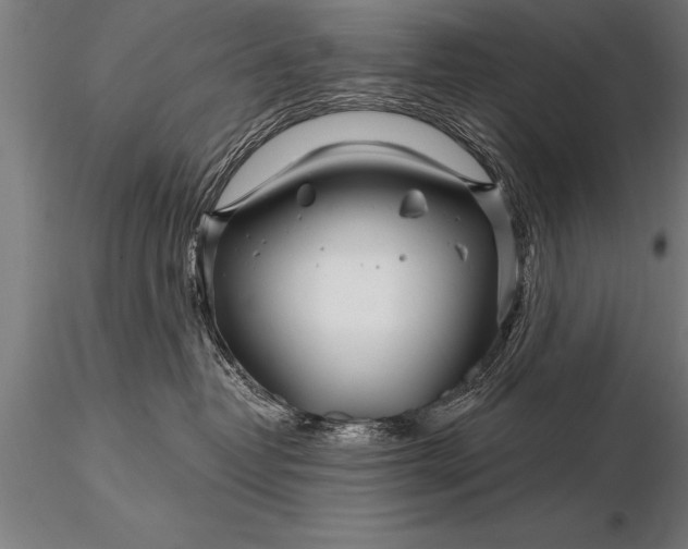 X0000116160382200912141226