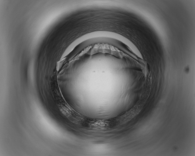 X0000116160383200912141226