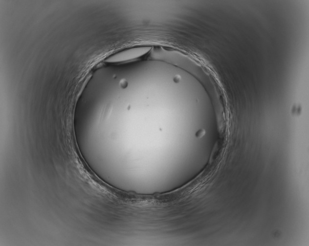 X0000116160385200912141225