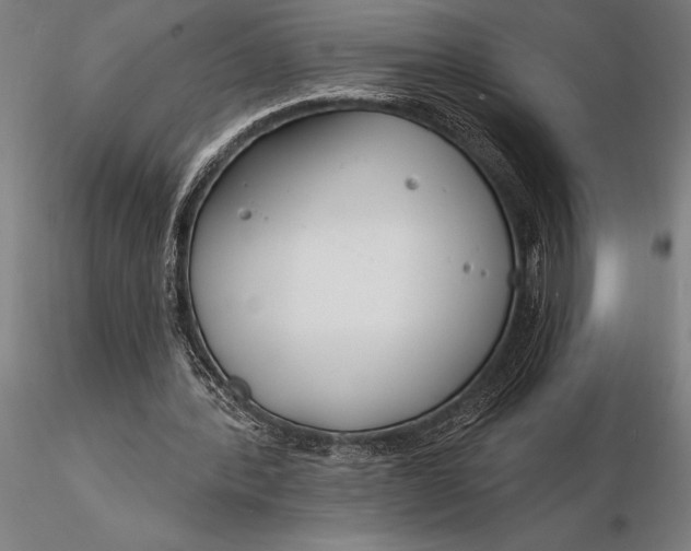 X0000116160388200912141225