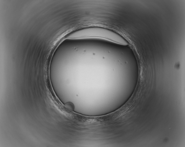 X0000116160390200912141225