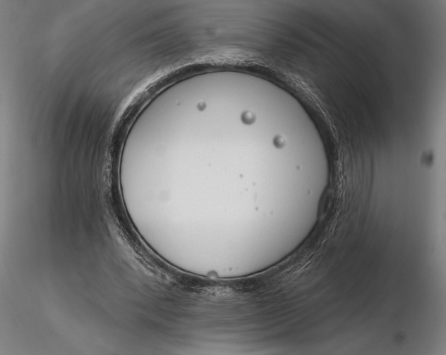 X0000116160392200912141225