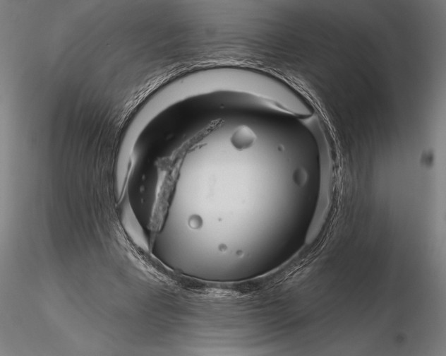 X0000116160393200912141225