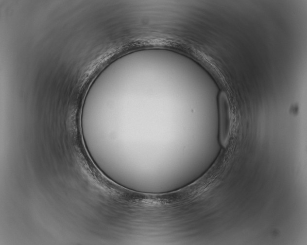 X0000116160394200912141225