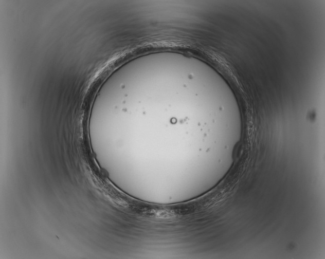 X0000116160395200912141225