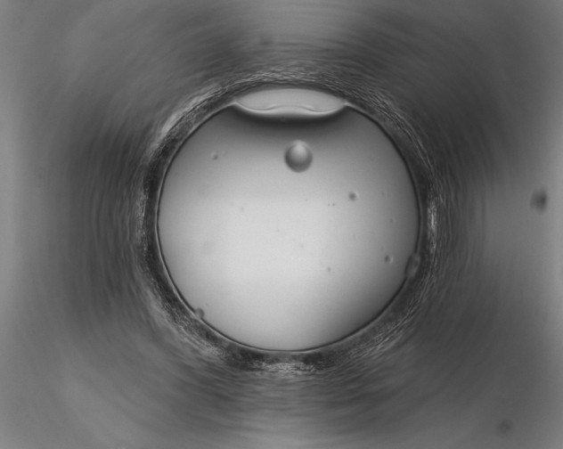 X0000116160396200912141225