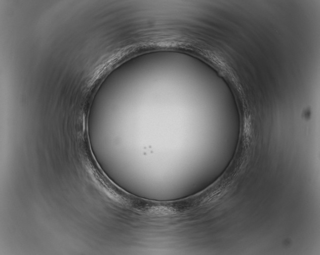 X0000116160397200912141225