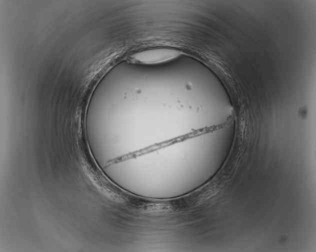 X0000116160398200912141225