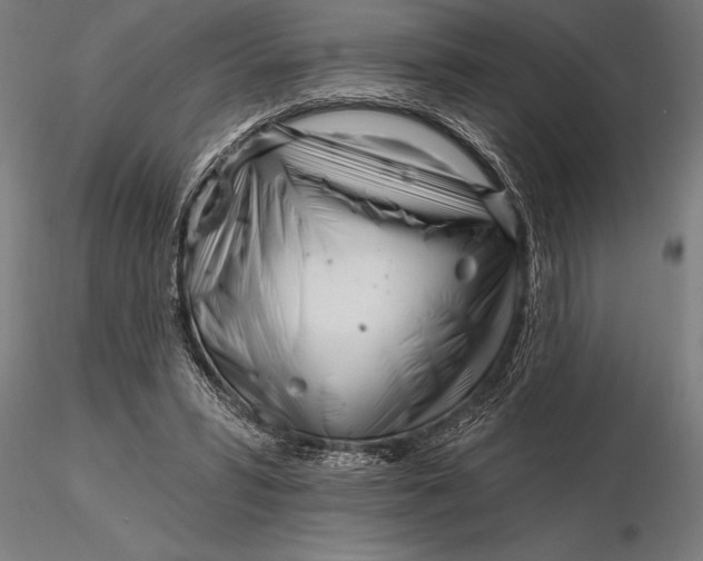 X0000116160399200912141225