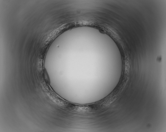 X0000116160401200912141225