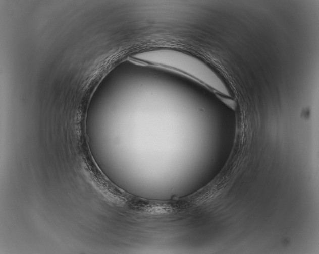 X0000116160402200912141225