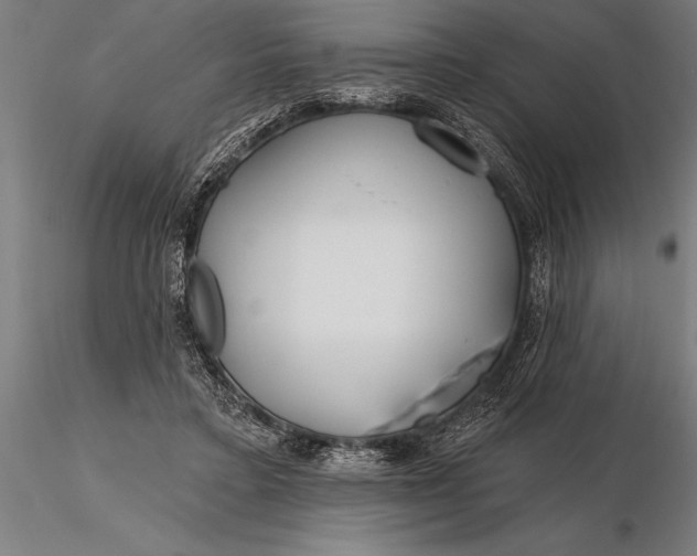 X0000116160403200912141225