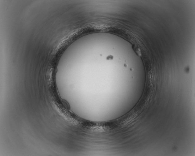 X0000116160404200912141225