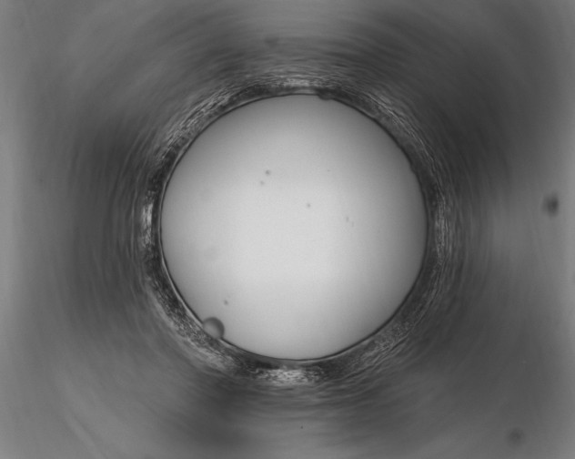 X0000116160406200912141225