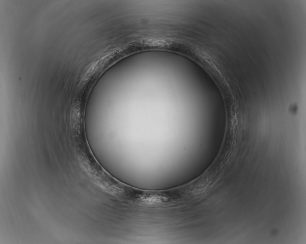 X0000116160407200912141225