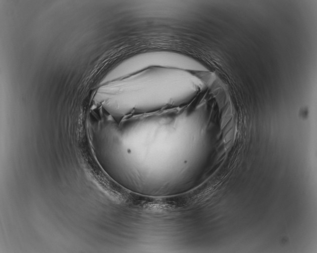 X0000116160408200912141225