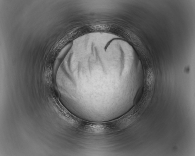 X0000116160409200912141225