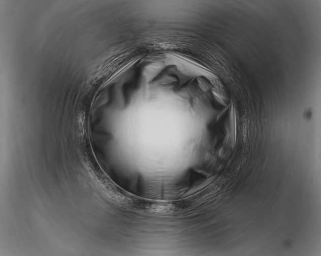 X0000116160410200912141225