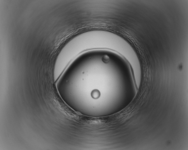 X0000116160411200912141225