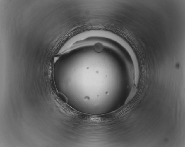 X0000116160413200912141225