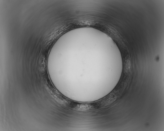 X0000116160414200912141225