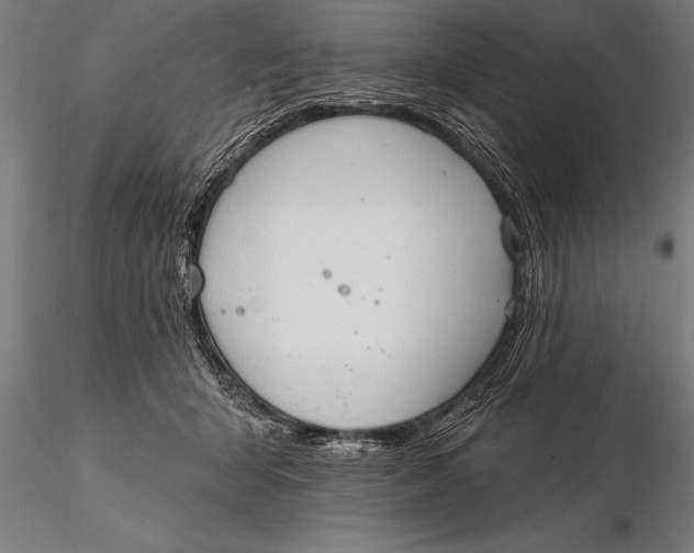X0000116160415200912141225