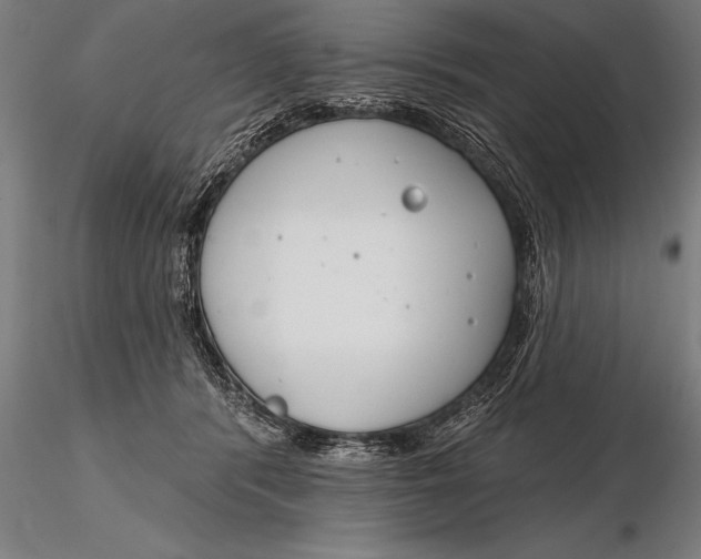 X0000116160416200912141225