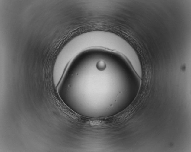 X0000116160417200912141225