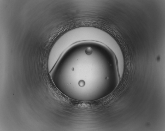 X0000116160419200912141225