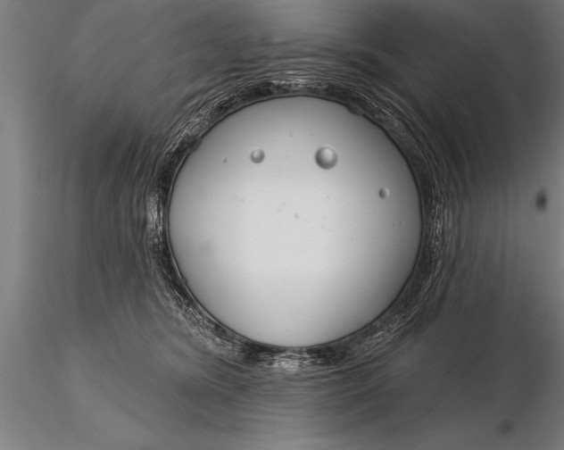 X0000116160420200912141225