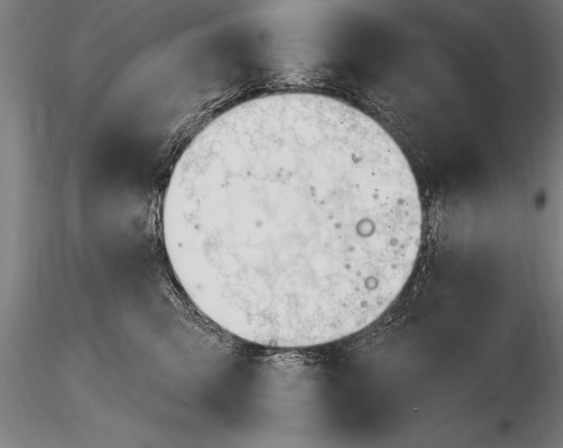 X0000116160423200912141225