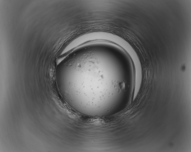 X0000116160424200912141225