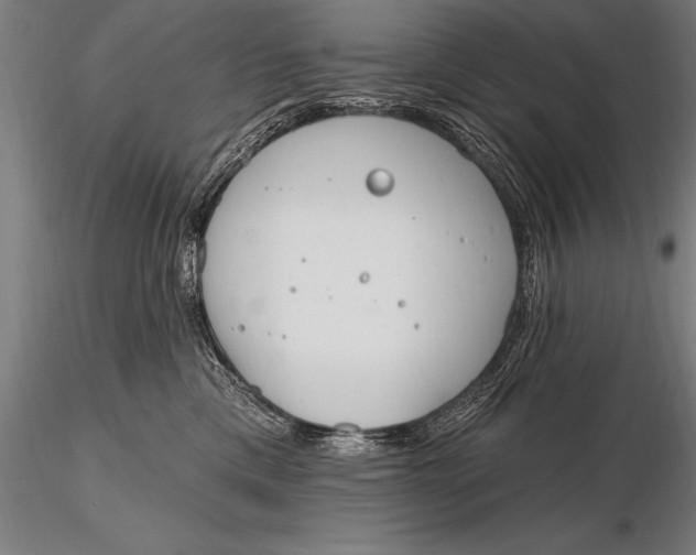 X0000116160425200912141225